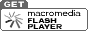 flash player